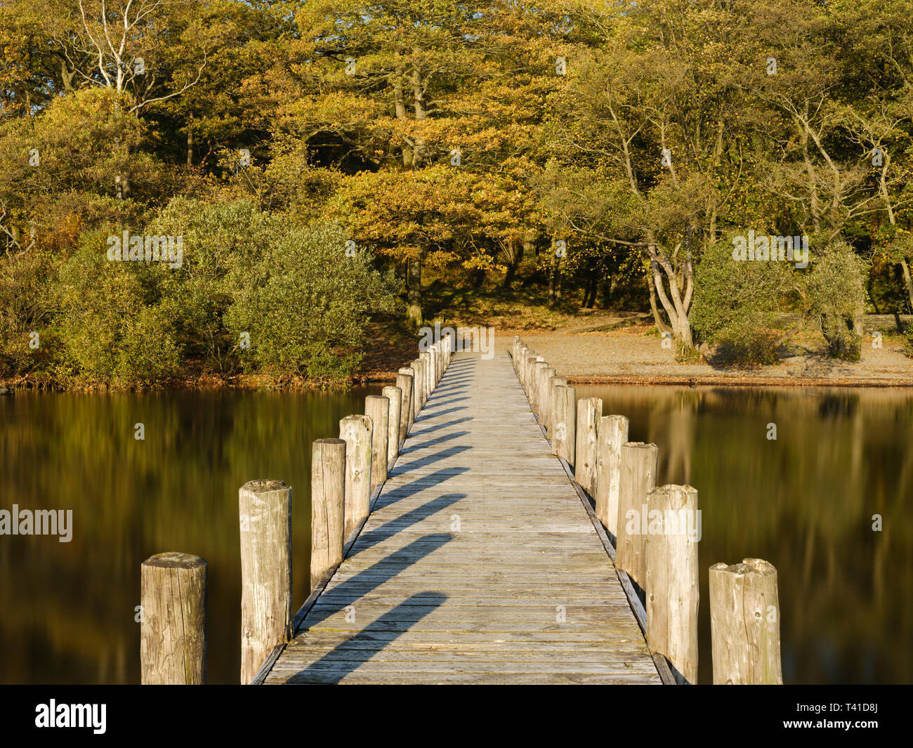 L'Angleterre, Cumbria, Parc National de Lake District. Coniston Water sur une calme, journée d'automne. Banque D'Images
