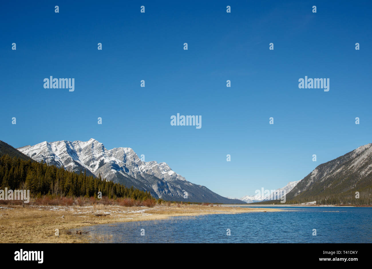 Rundle mountain range à Kananaskis, Alberta, Canada Banque D'Images