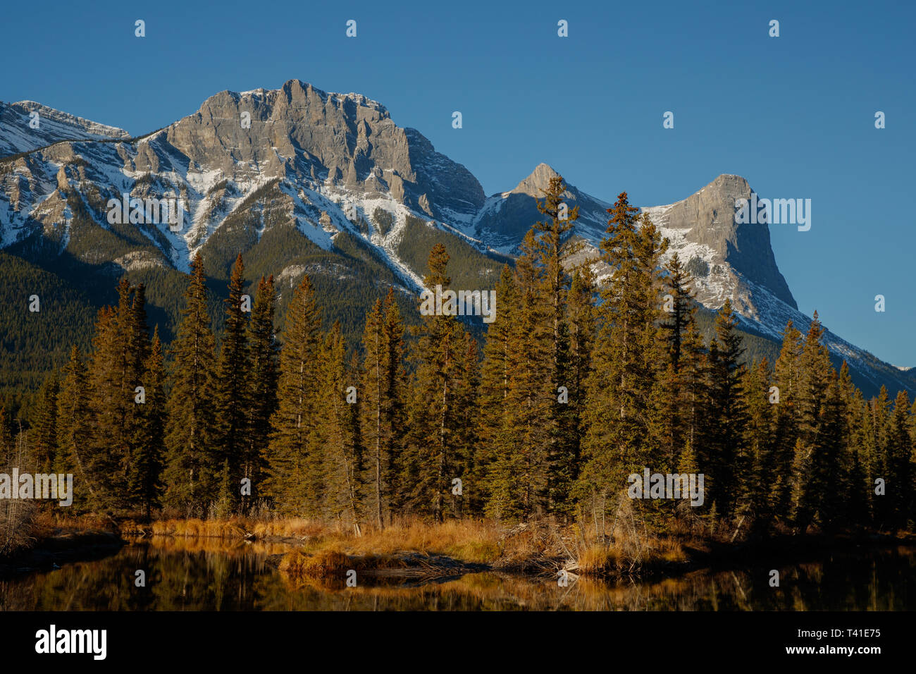 Rundle Forebay et les Ha Ling pic de montagne dans la région de Kananaskis, Alberta, Canada Banque D'Images