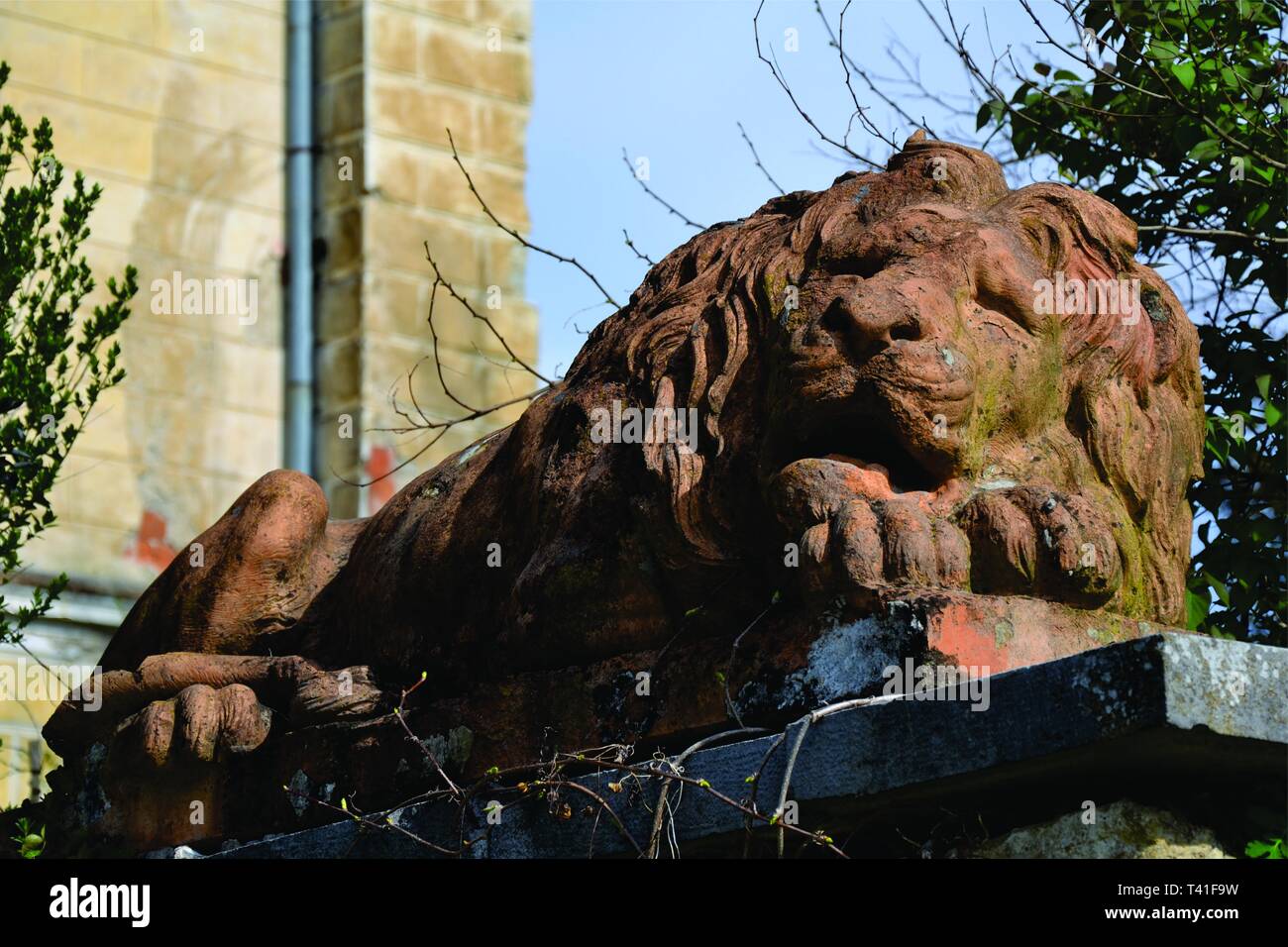Statue de lion couché Banque D'Images