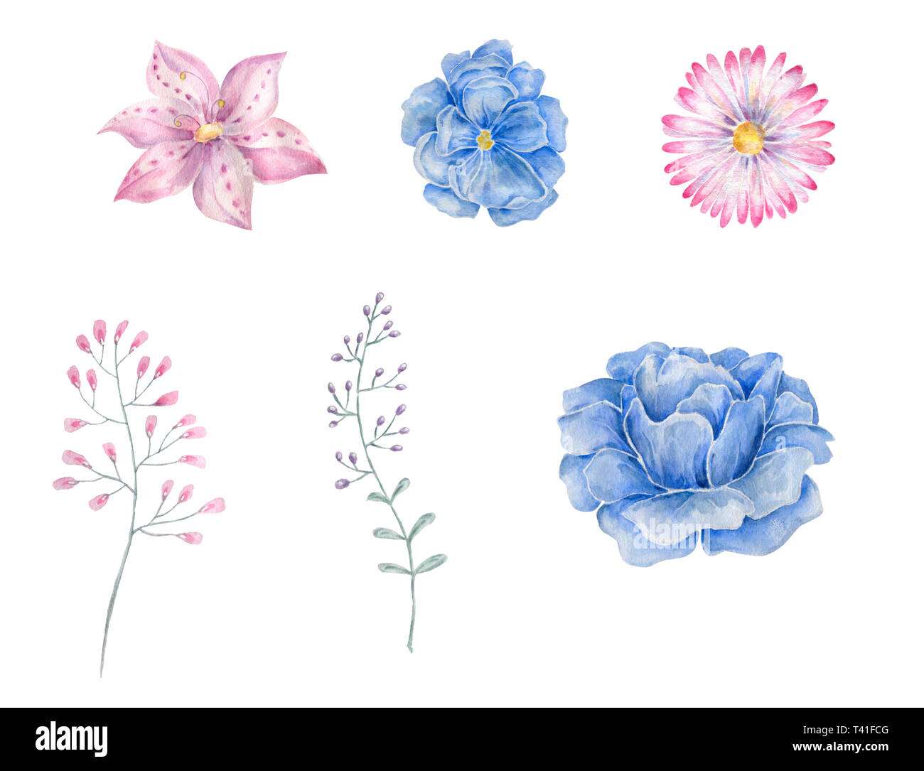 Fleur bleu aquarelle dessin illustration illustration géométrique aquarelle peinture aquarelle fleurs printemps été rose jardin floral pour clip art Banque D'Images