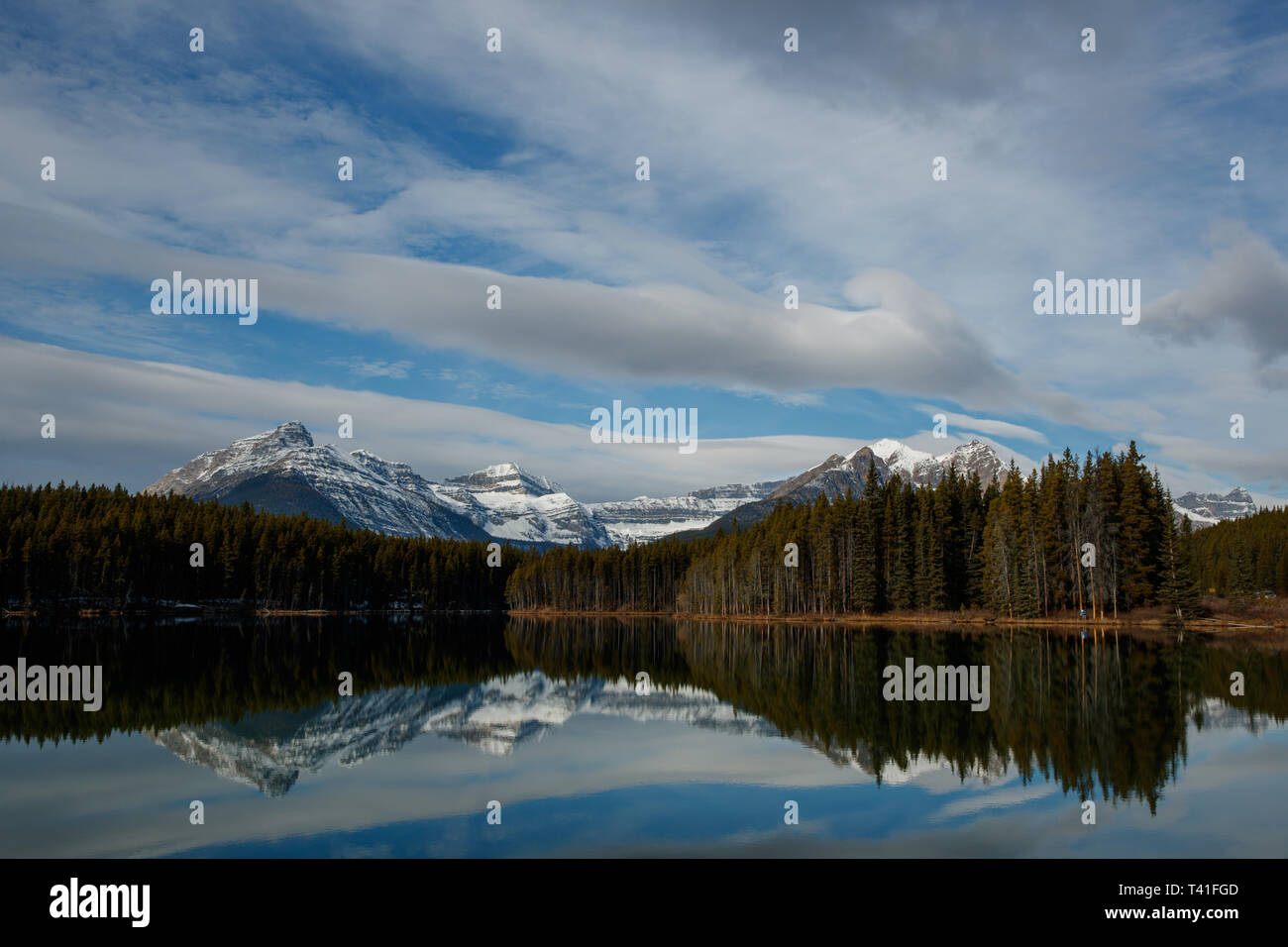 Plus de montagnes de glace Waputik Herbert Lake dans le parc national de Banff, Canada Banque D'Images