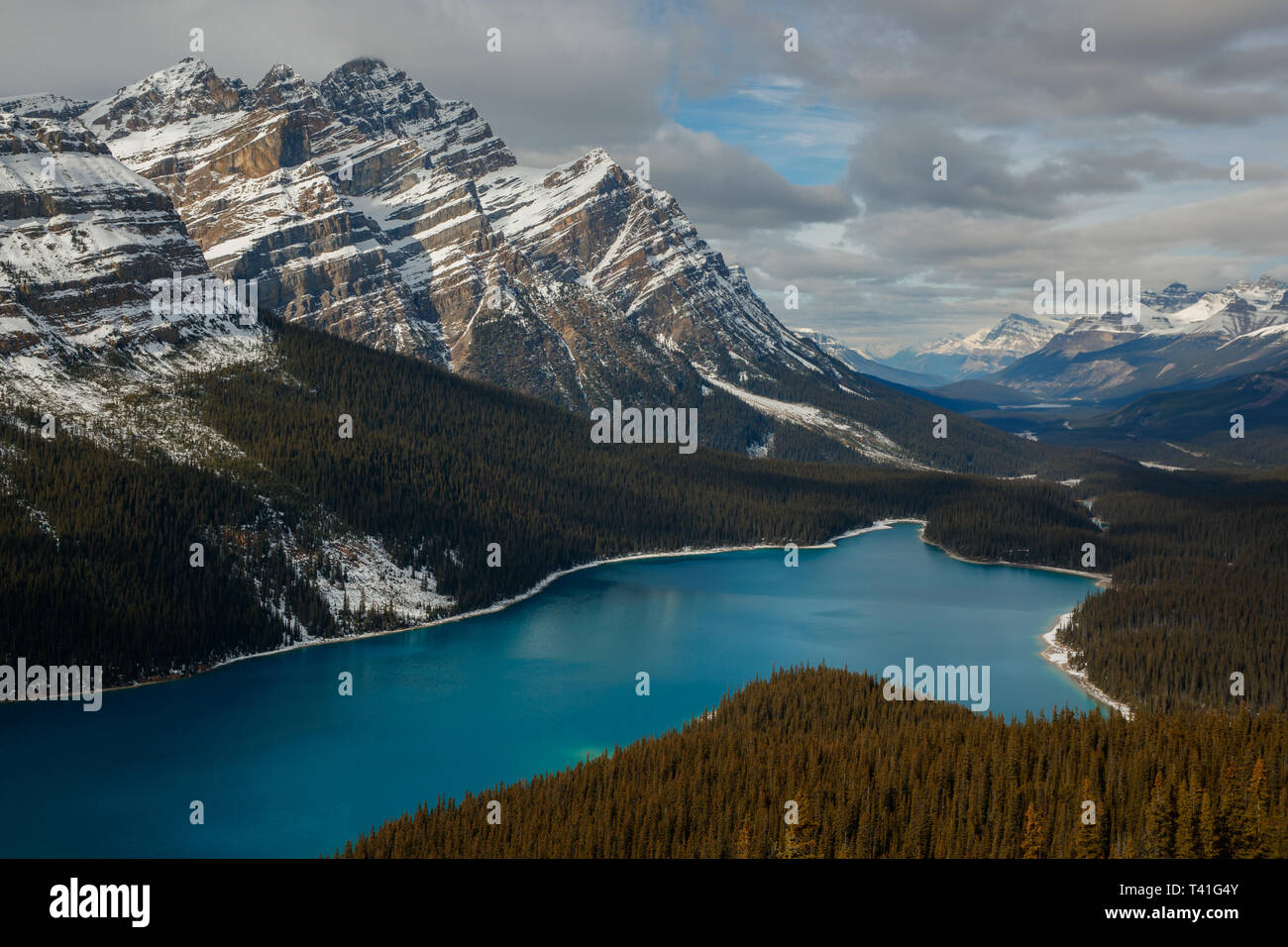 Peyto Lake dans le parc national de Banff Banque D'Images