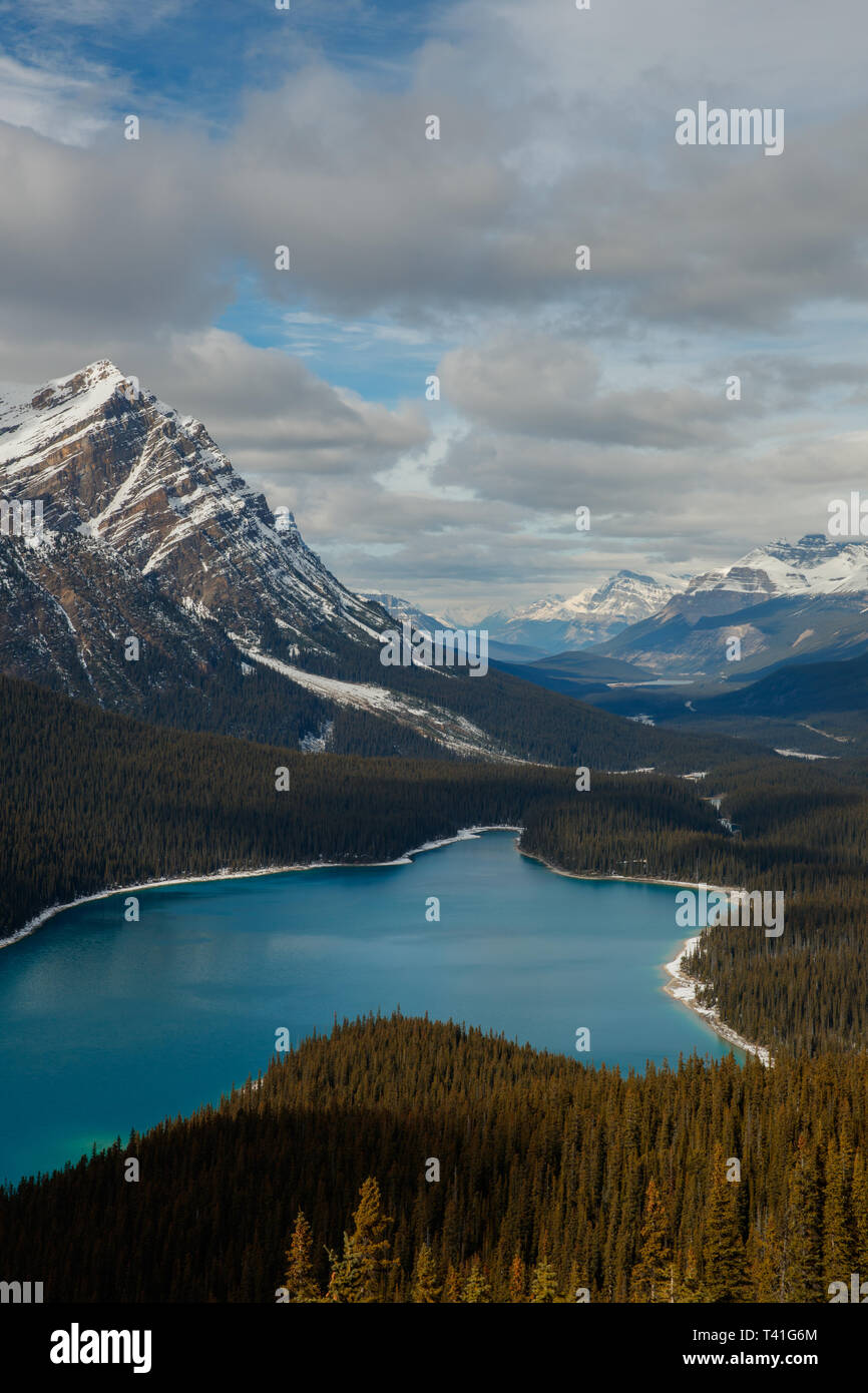 Peyto Lake dans le parc national de Banff Banque D'Images