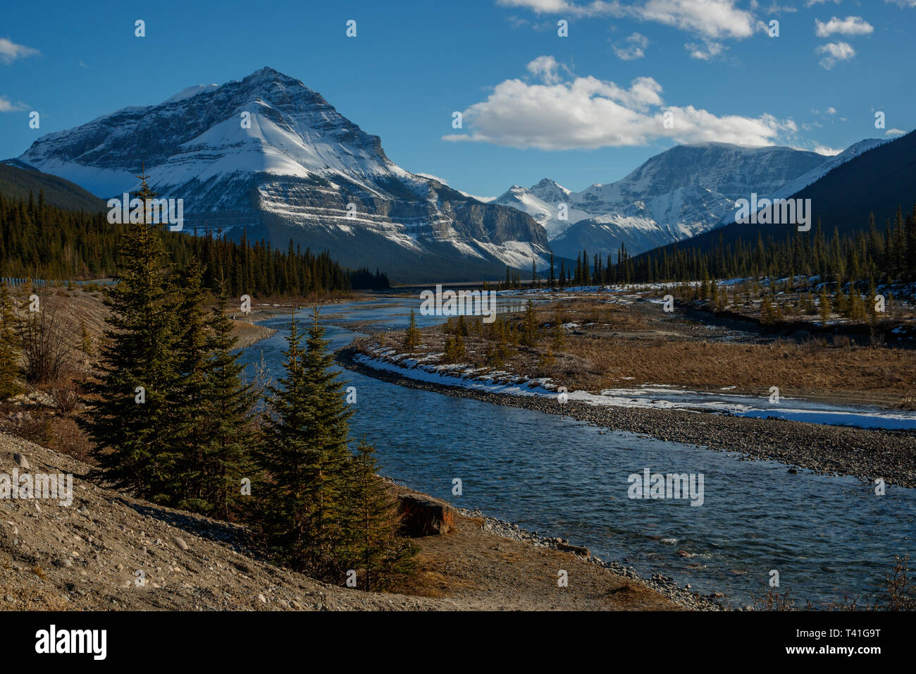 Tangle Ridge et de crête le long de la promenade des glaciers de l'Alberta, Canada Banque D'Images