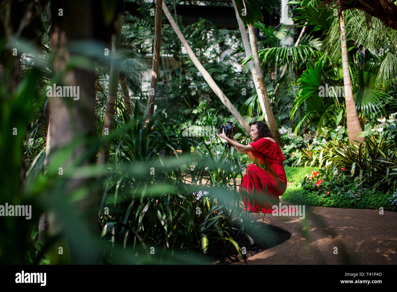 Une femme photographe dans une robe rouge vif s'agenouille dans un jardin luxuriant Banque D'Images
