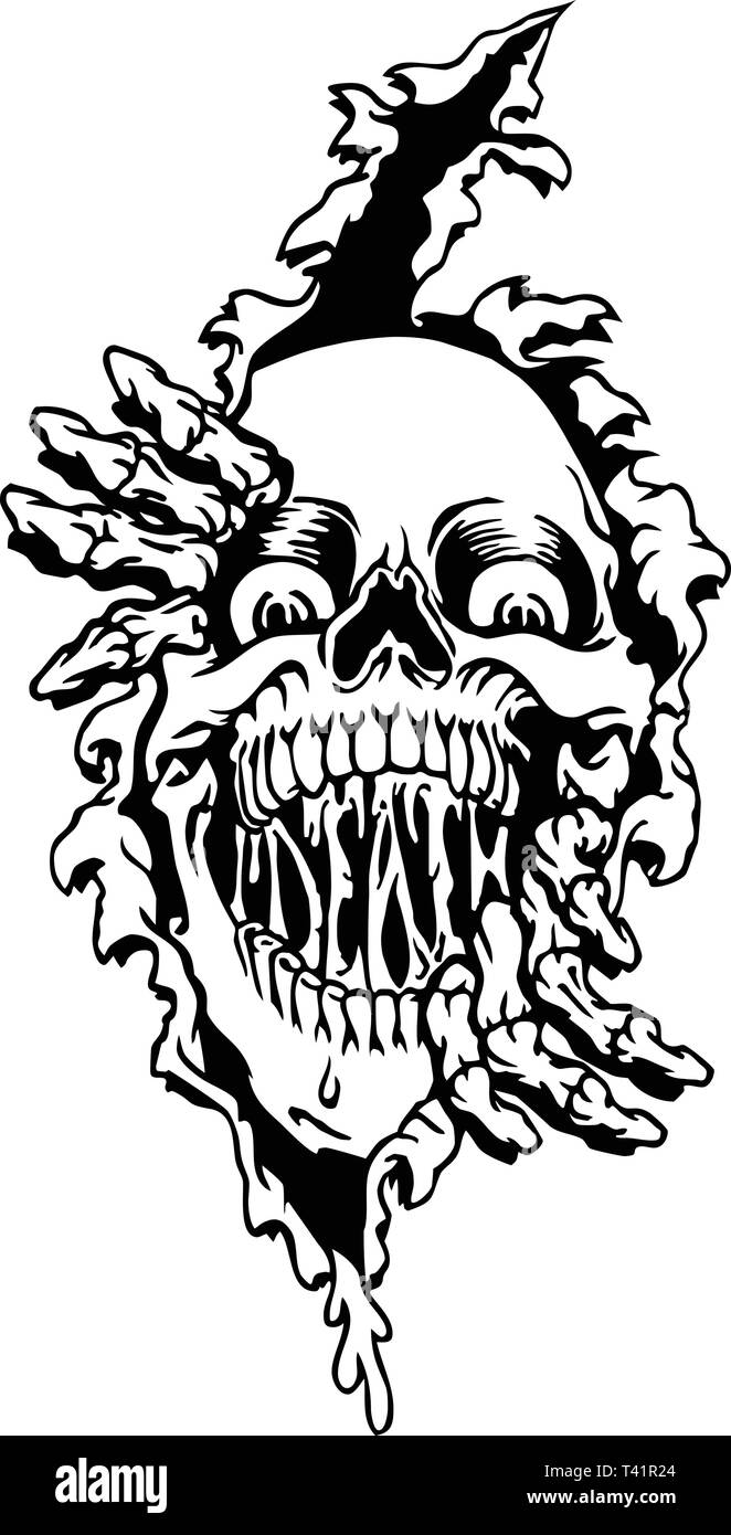 Crâne Arrachée Vector Illustration Illustration de Vecteur