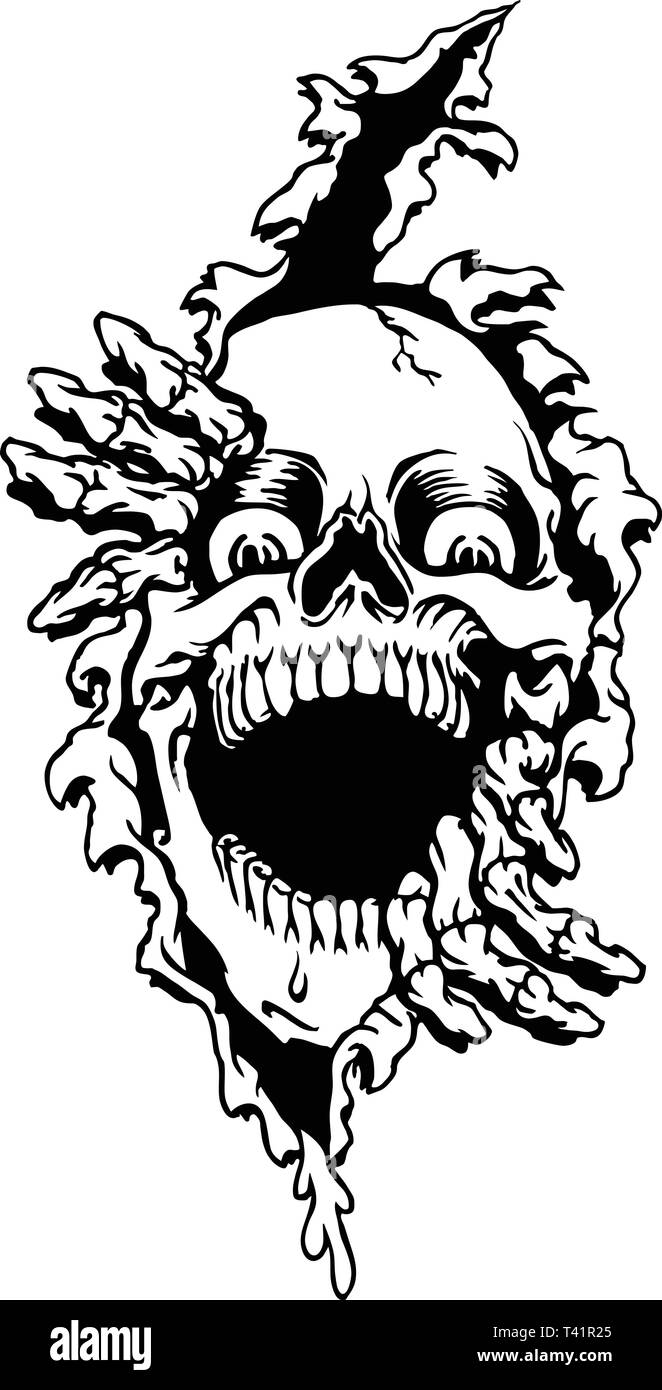 Crâne Arrachée Vector Illustration Illustration de Vecteur