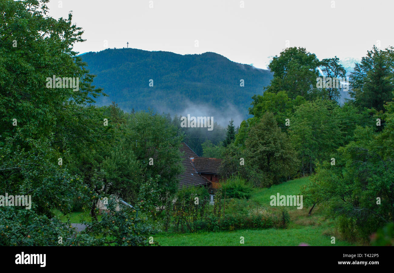 L'Autriche, le lac Wörthersee, Paysage du soir, le brouillard s'élève du lac et se bloque au milieu des arbres Banque D'Images