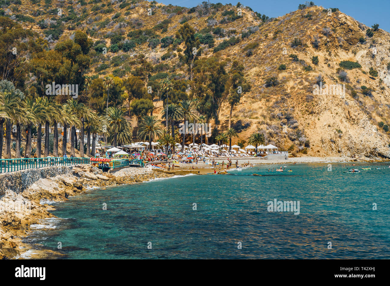 Avalon Bay, Santa Catalina Island, Californie Banque D'Images