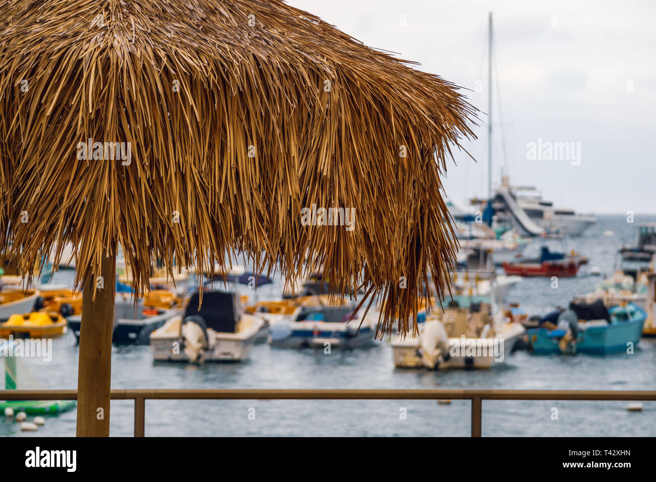 Port d'Avalon sur l'île de Santa Catalina, Californie Banque D'Images