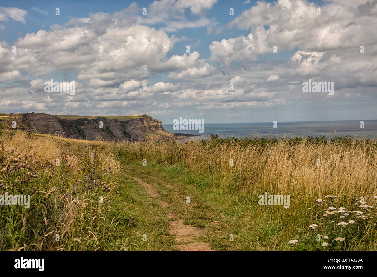 Vue sur côte à Robin Hood's Bay dans le Yorkshire, Angleterre Banque D'Images