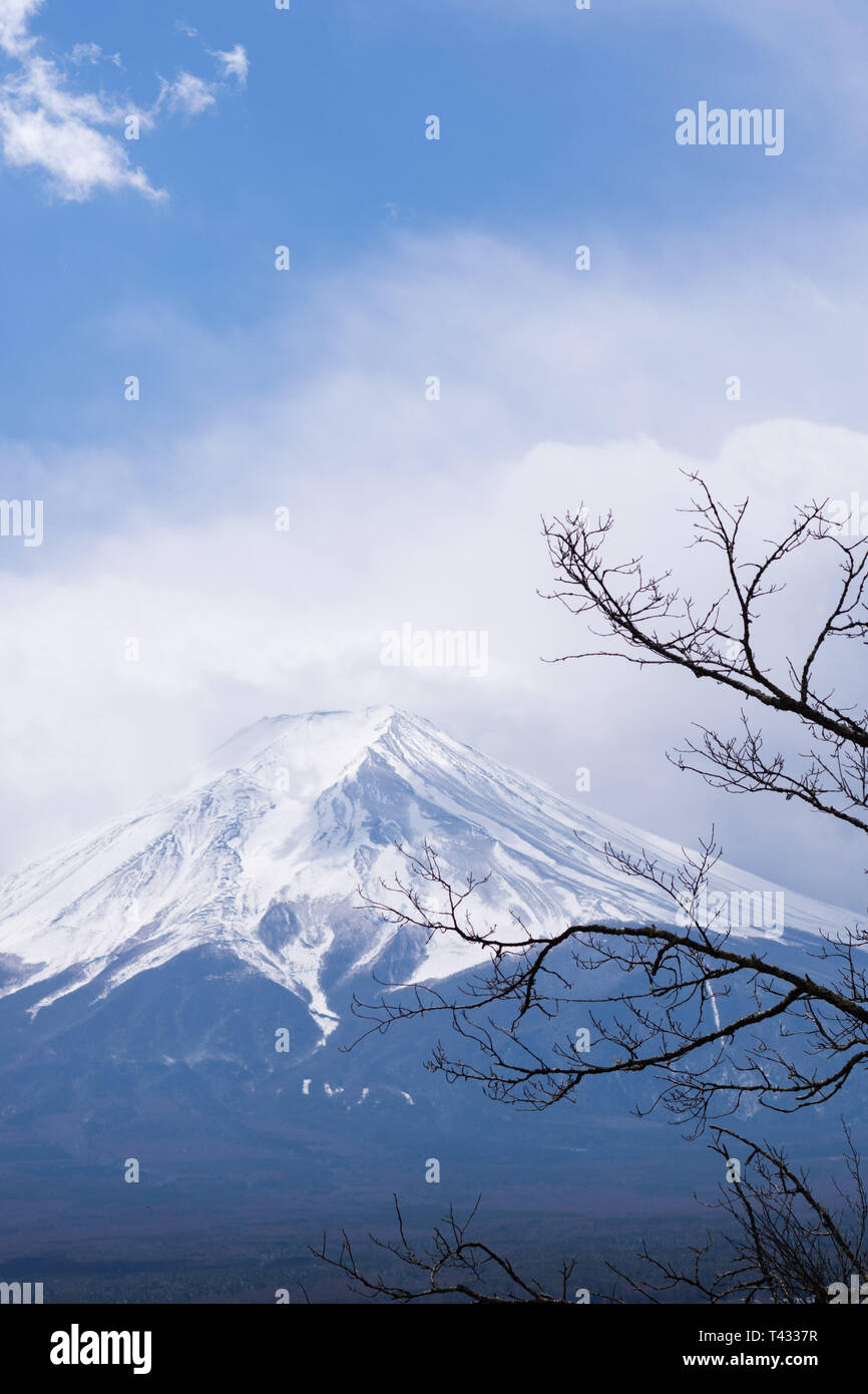 Fuji montagne derrière les branches d'arbres Banque D'Images