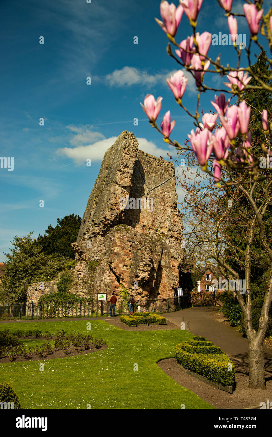 Bridgnorth Château Banque D'Images