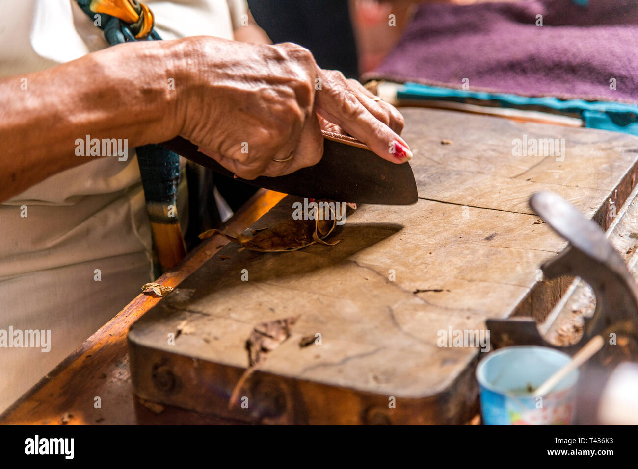 Photo Portrait d'une femme préparant un cigare cubain à la Casa de la Cultura, Trinidad, Sancti Spritus, Province de l'ouest de Cuba, Antilles, Amérique centrale. Phot Banque D'Images