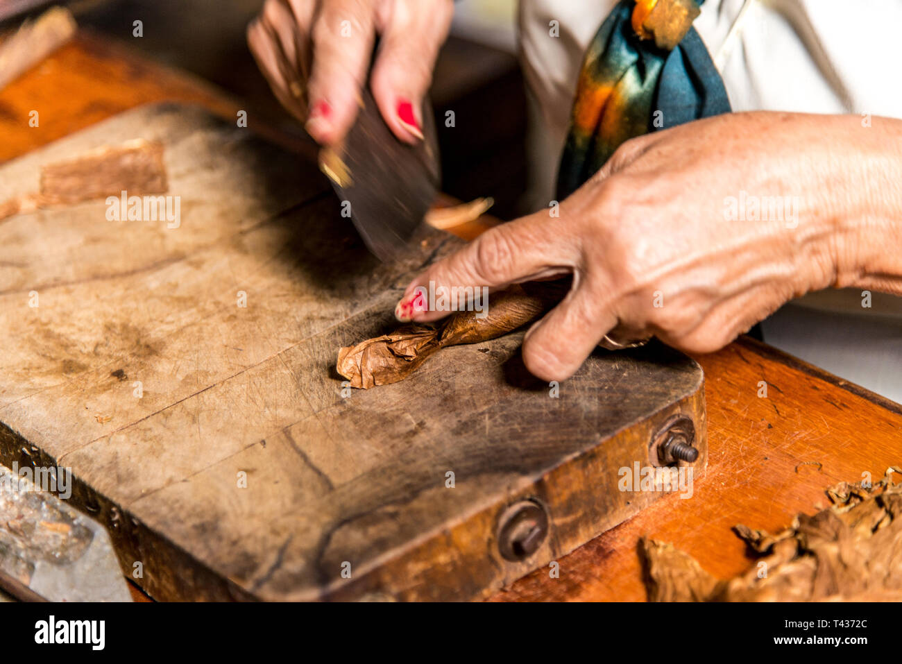 Photo Portrait d'une femme préparant un cigare cubain à la Casa de la Cultura, Trinidad, Sancti Spritus, Province de l'ouest de Cuba, Antilles, Amérique centrale. Phot Banque D'Images