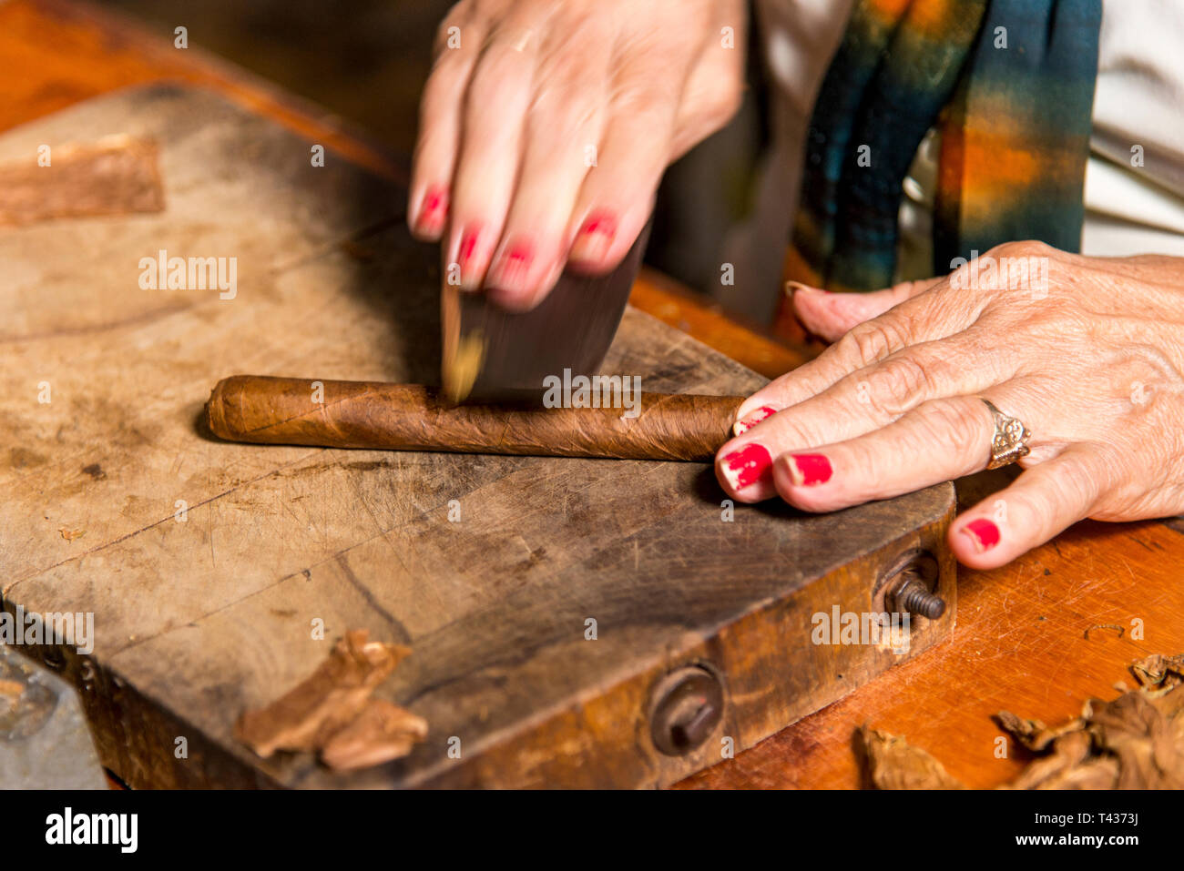 Photo Portrait d'une femme préparant un cigare cubain à la Casa de la Cultura, Trinidad, Sancti Spritus, Province de l'ouest de Cuba, Antilles, Amérique centrale. Phot Banque D'Images