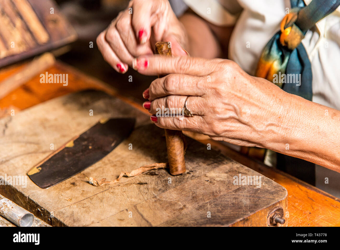 Photo Portrait d'une femme préparant un cigare cubain à la Casa de la Cultura, Trinidad, Sancti Spritus, Province de l'ouest de Cuba, Antilles, Amérique centrale. Phot Banque D'Images