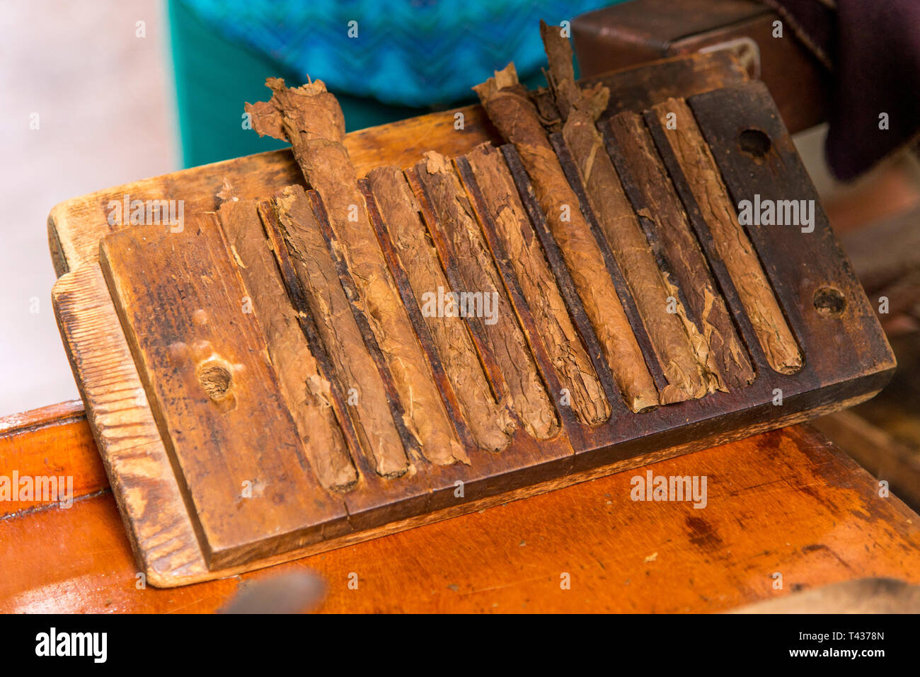 Photo Portrait d'une femme préparant un cigare cubain à la Casa de la Cultura, Trinidad, Sancti Spritus, Province de l'ouest de Cuba, Antilles, Amérique centrale. Phot Banque D'Images