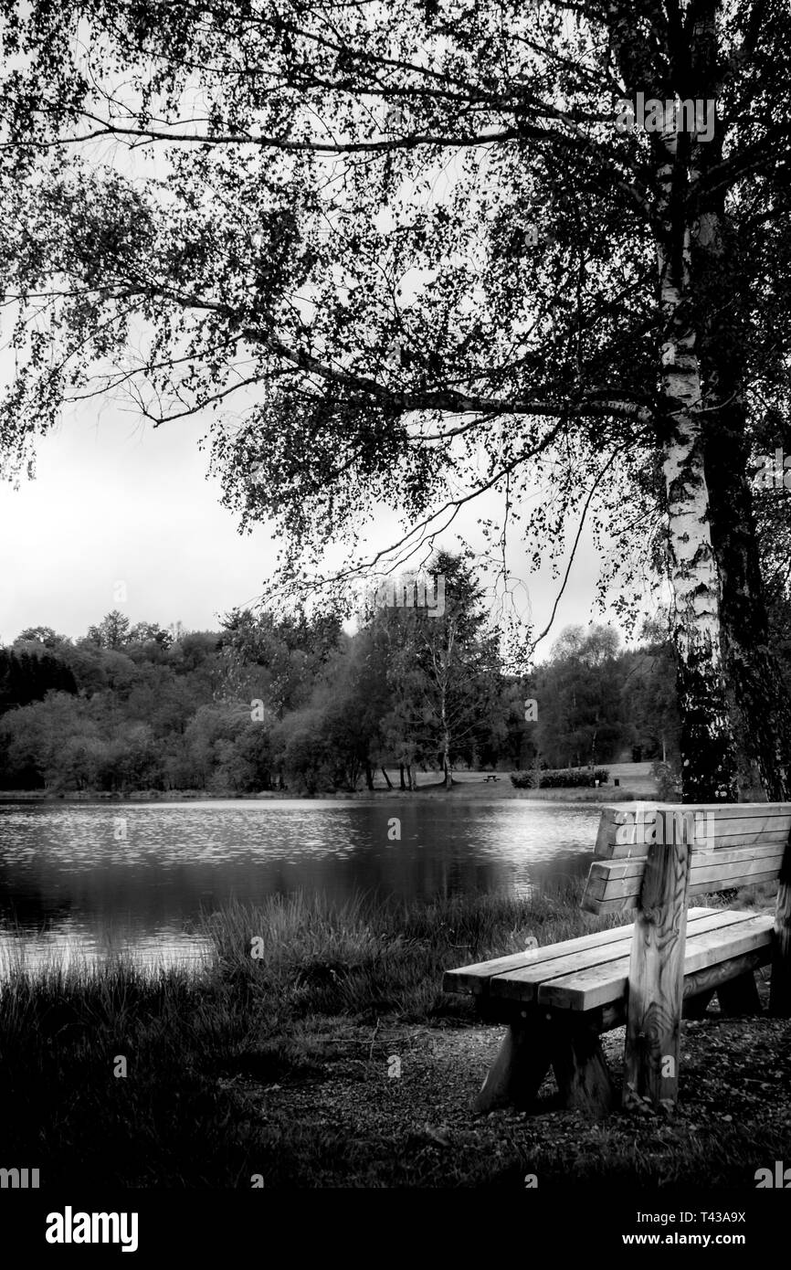 Paysage tranquille du banc du lac en noir et blanc Banque D'Images