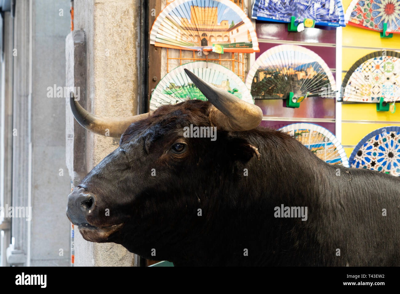 L'espagnol en dehors de bull boutique de souvenirs Banque D'Images