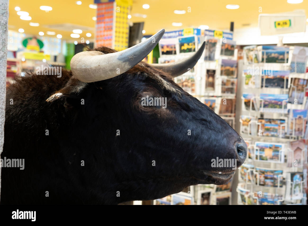 L'espagnol en dehors de bull boutique de souvenirs Banque D'Images