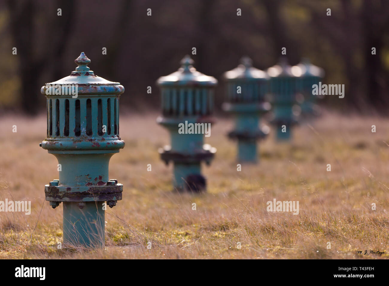 Un résumé tiré de plusieurs poteaux incendie bleu assis dans un champ Banque D'Images