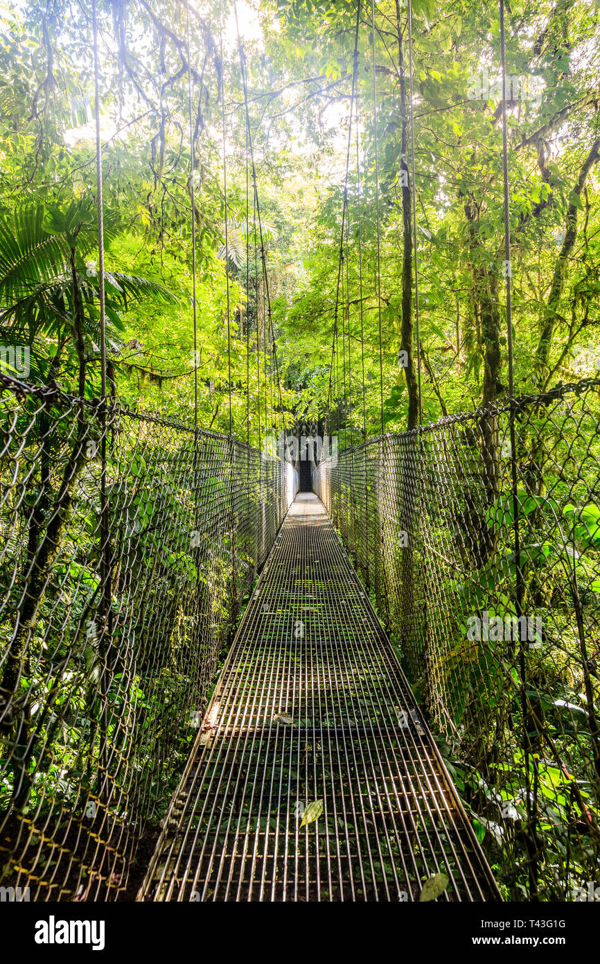 L'un des 6 ponts suspendus en ponts suspendus d'Arenal au Costa Rica Banque D'Images