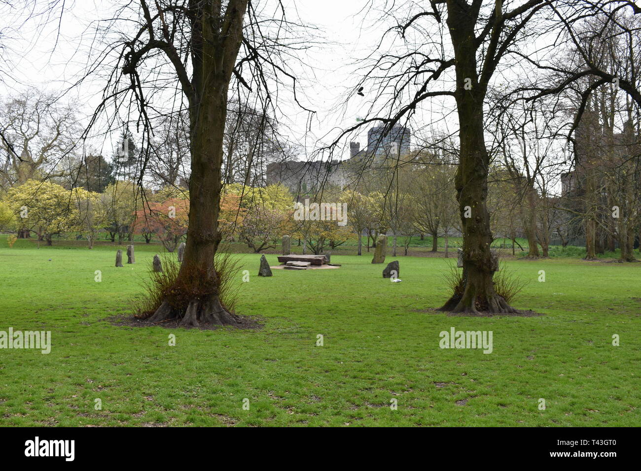 La Gorsedd Stone Circle, Cooper's field, Bute Park, Cardiff, Glamorgan du Sud, Pays de Galles Banque D'Images