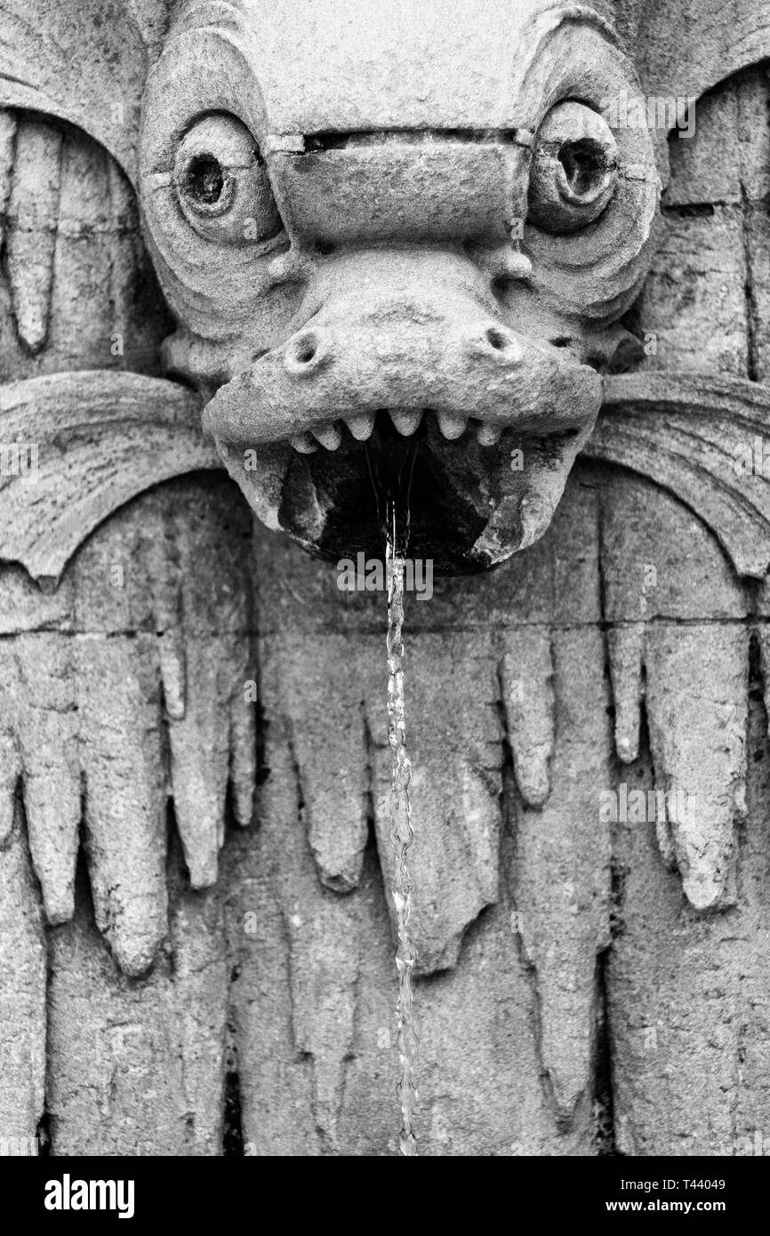 Une gargouille poisson-dragon de l'eau buses de sa bouche sur le Biltmore Estate à Asheville, NC, USA Banque D'Images
