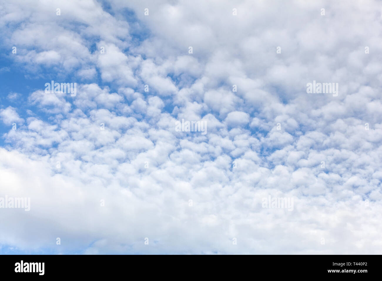 Ciel avec fluffy ( également appelé maquereau ) nuages Banque D'Images