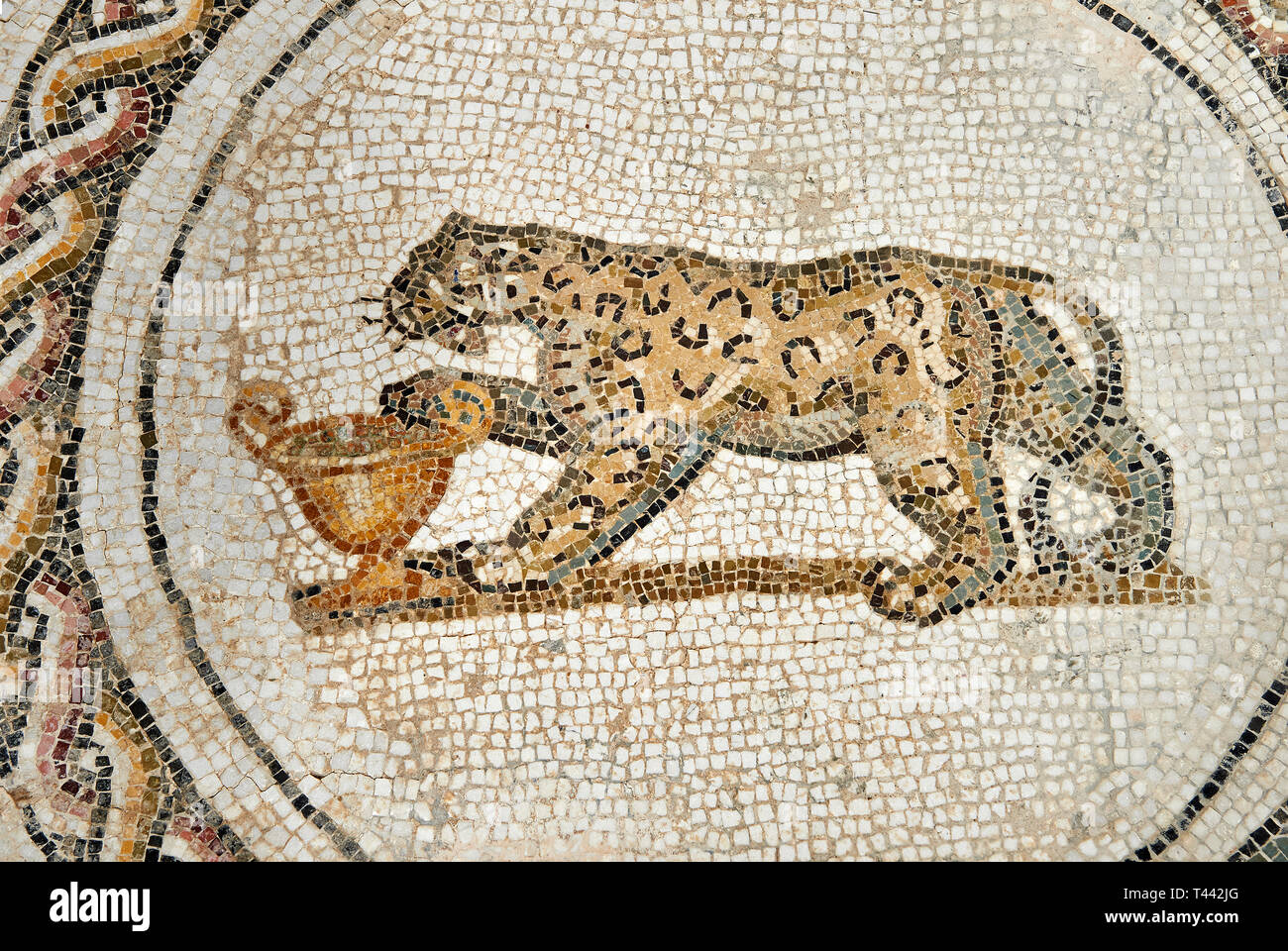 Photo d'une mosaïque romaine représentant conception dionysiaque panther en face d'un cratère de vin, de l'antique ville romaine de Thysdrus. 3e siècle. El Banque D'Images