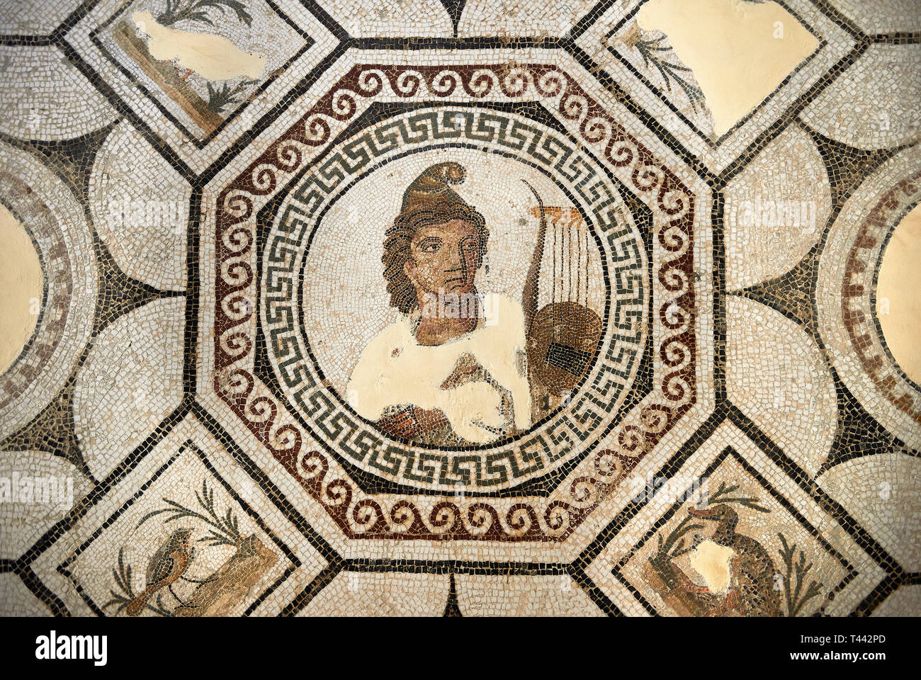 Photo d'une mosaïque romaine représentant Orphée design, dieu de la musique, jouant de sa lyre entouré par les animaux charmés par sa musique, à partir de l'ancienne cité romaine Banque D'Images