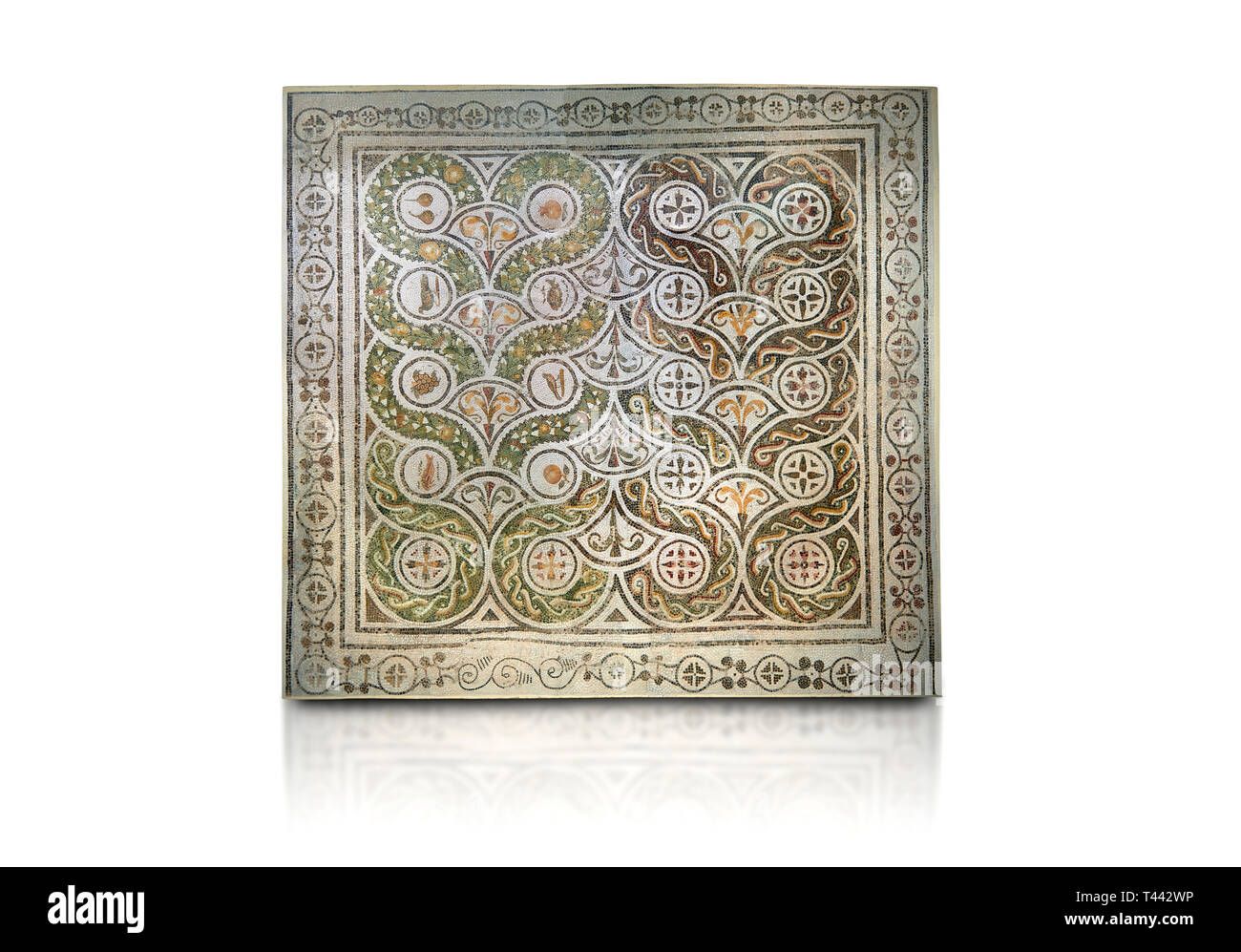 Photos d'une mosaïque romaine de médaillons contenant des oiseaux, poissons et mosaïque, fruit de l'ancienne ville romaine de Thysdrus, dans la chambre M'Barek R Banque D'Images