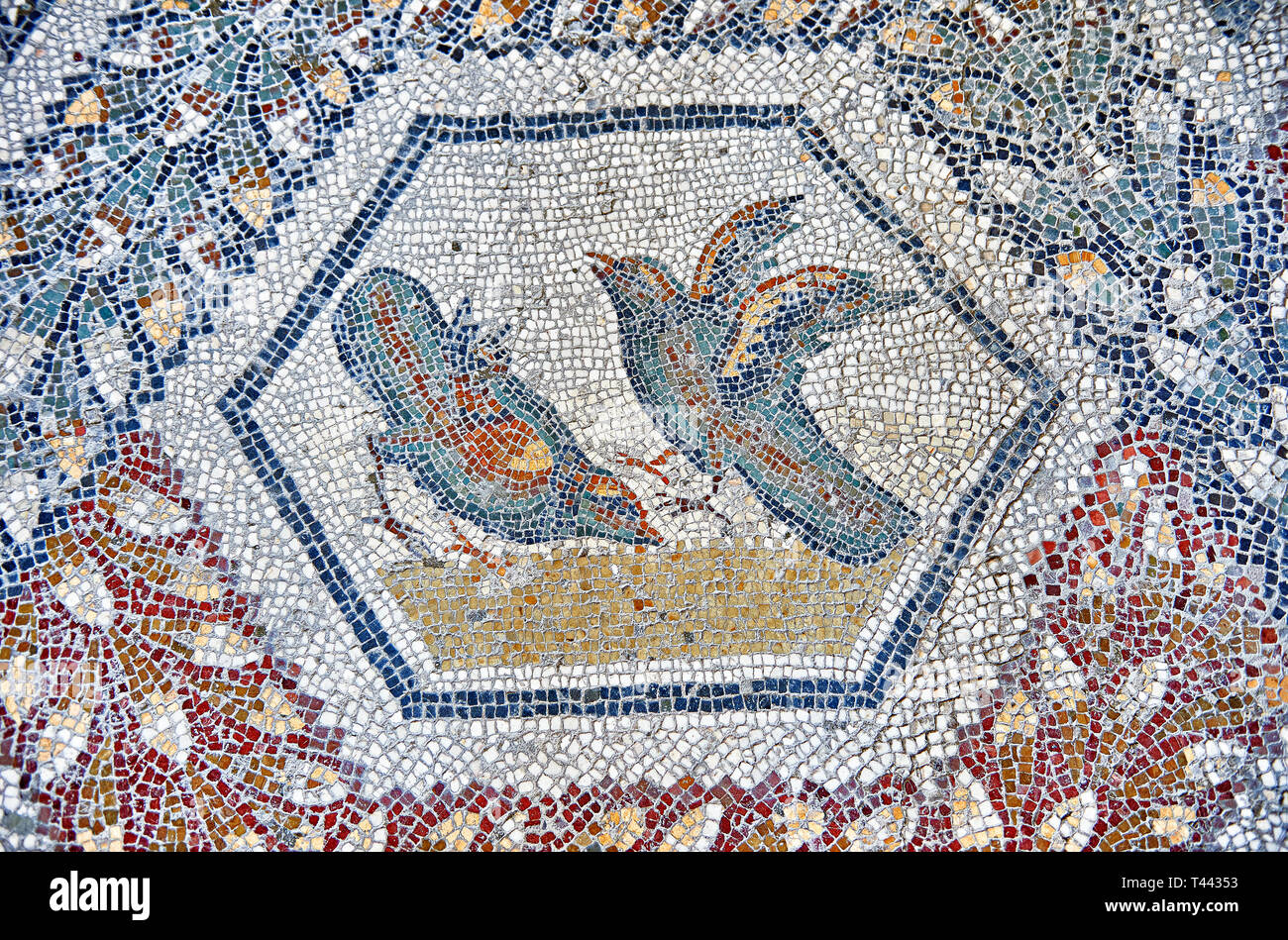 3e siècle mosaïque romaine de bord de deux oiseaux de Thugga, en Tunisie. Le Musée du Bardo, Tunis, Tunisie. Banque D'Images