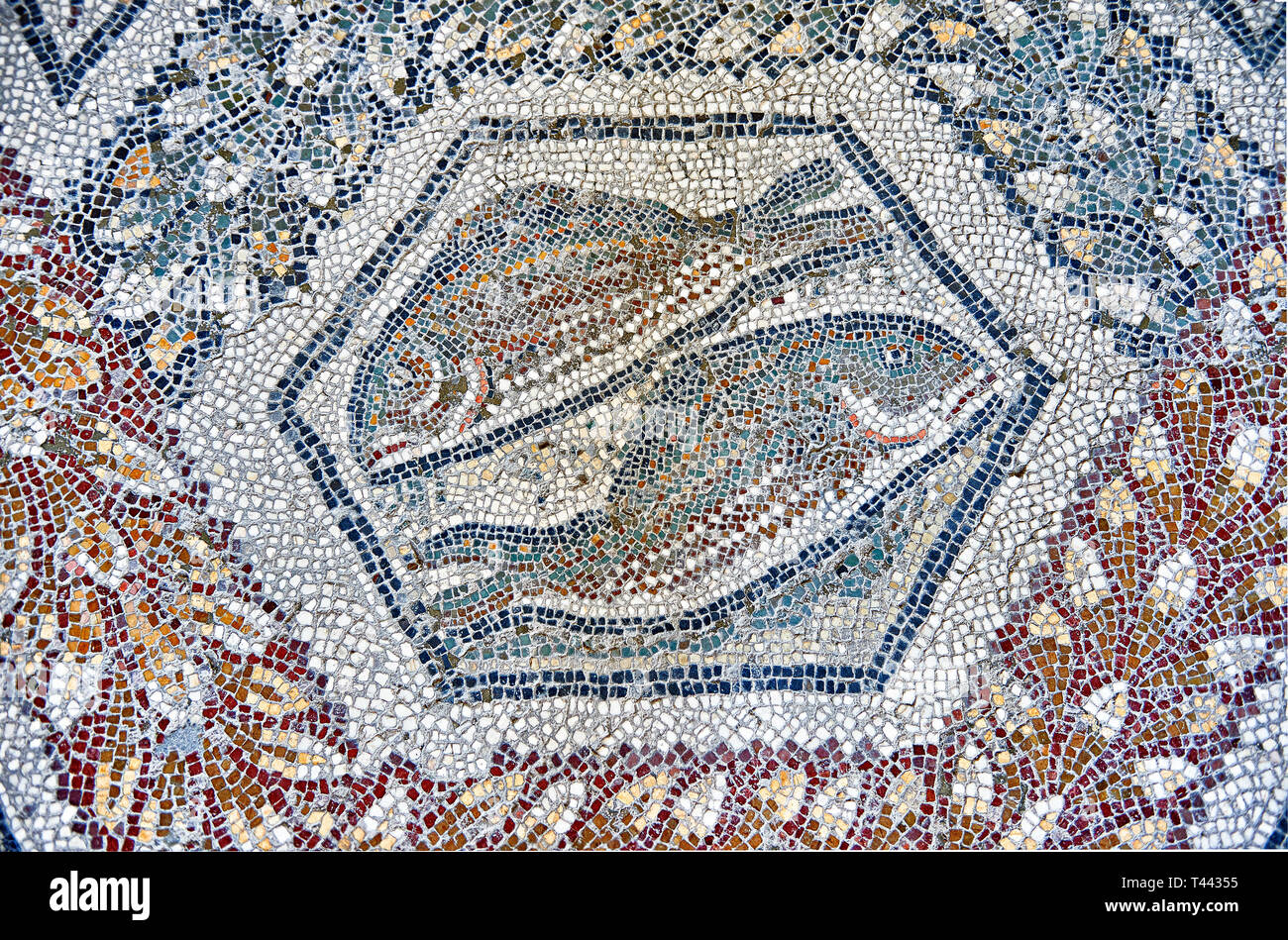 3e siècle mosaïque romaine de bord de deux poissons de Thugga, en Tunisie. Le Musée du Bardo, Tunis, Tunisie. Banque D'Images