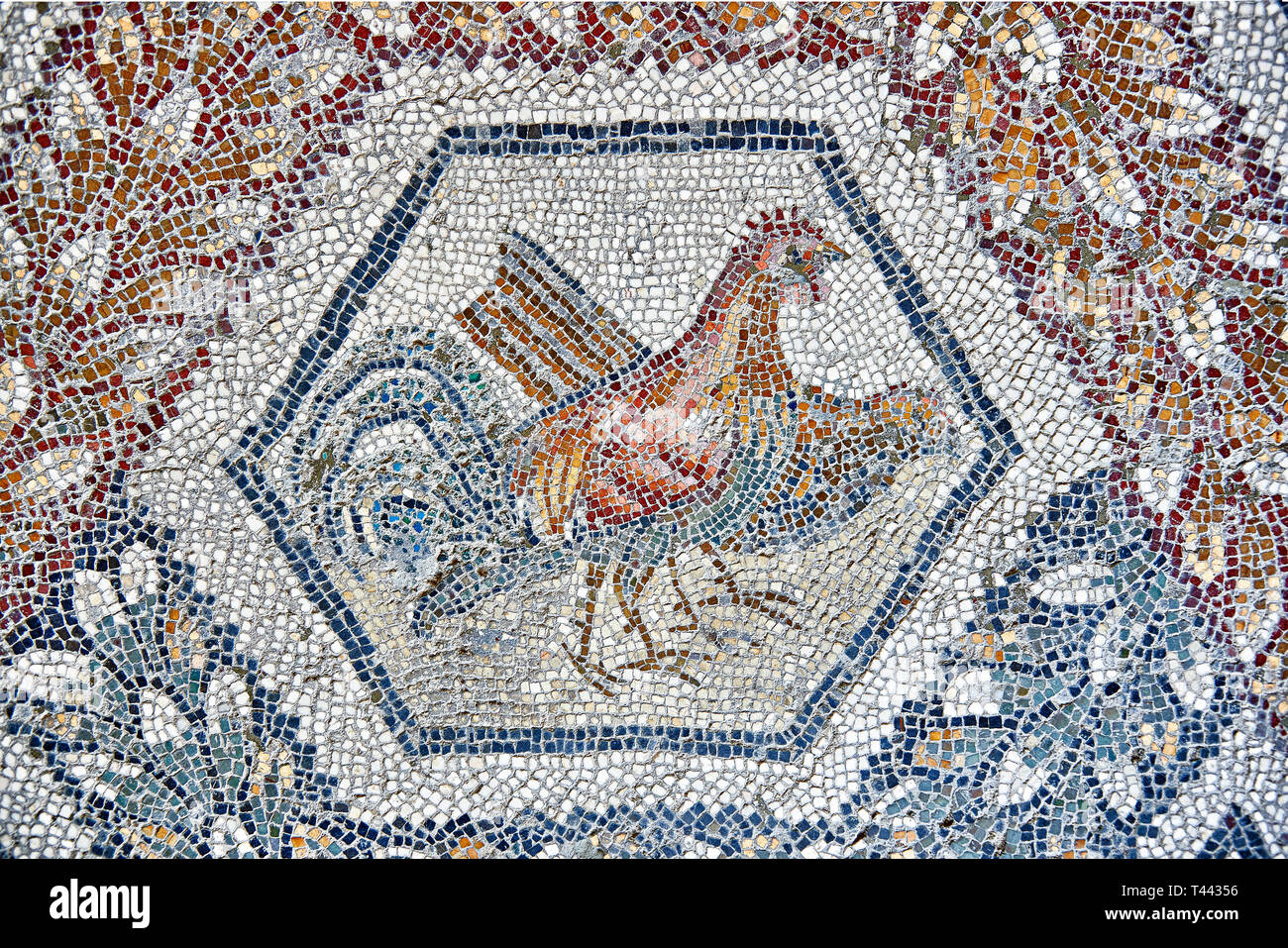 3e siècle mosaïque romaine de bord de deux poulets de Thugga, en Tunisie. Le Musée du Bardo, Tunis, Tunisie. Banque D'Images