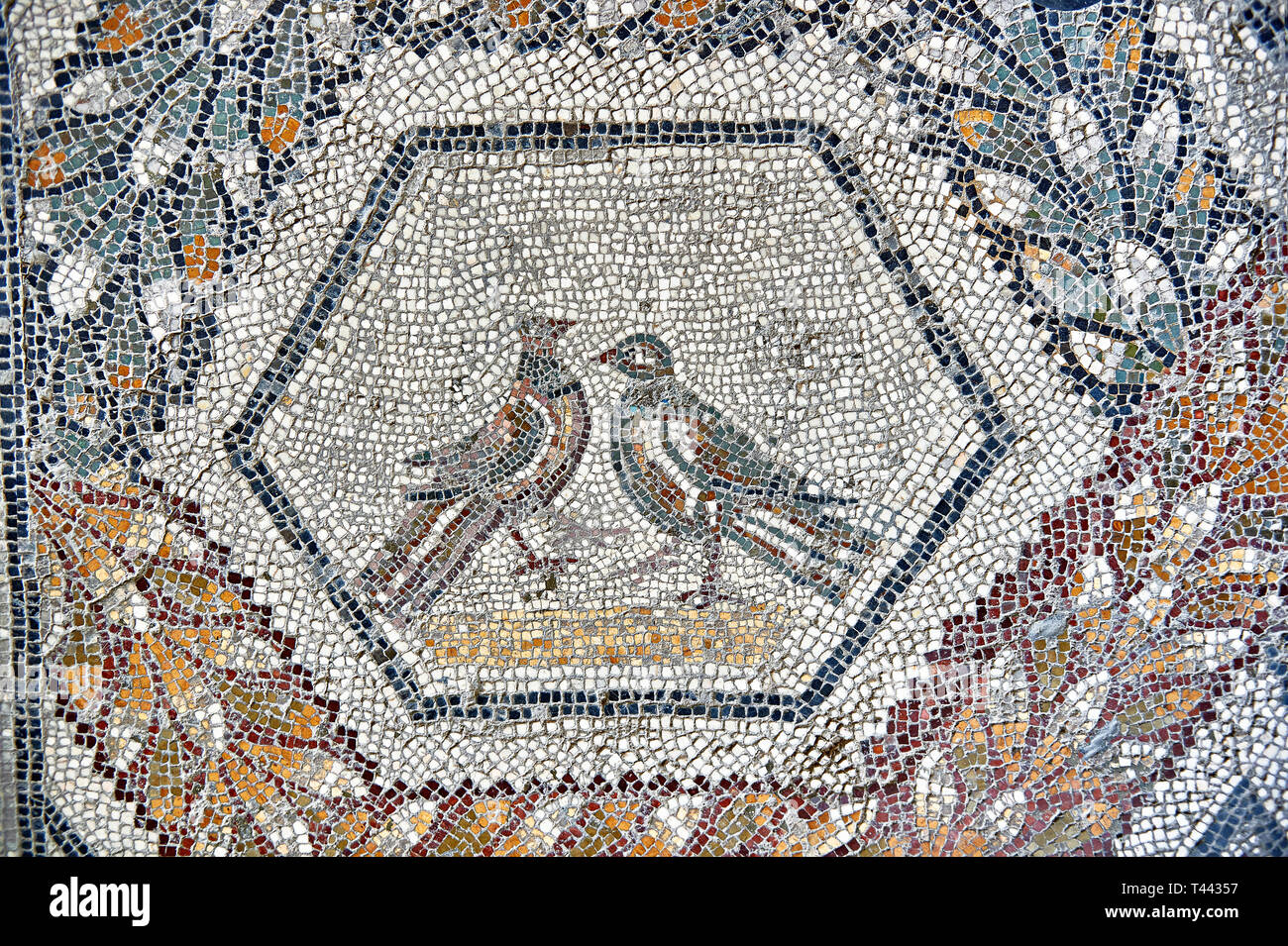 3e siècle mosaïque romaine de bord de deux oiseaux de Thugga, en Tunisie. Le Musée du Bardo, Tunis, Tunisie. Banque D'Images
