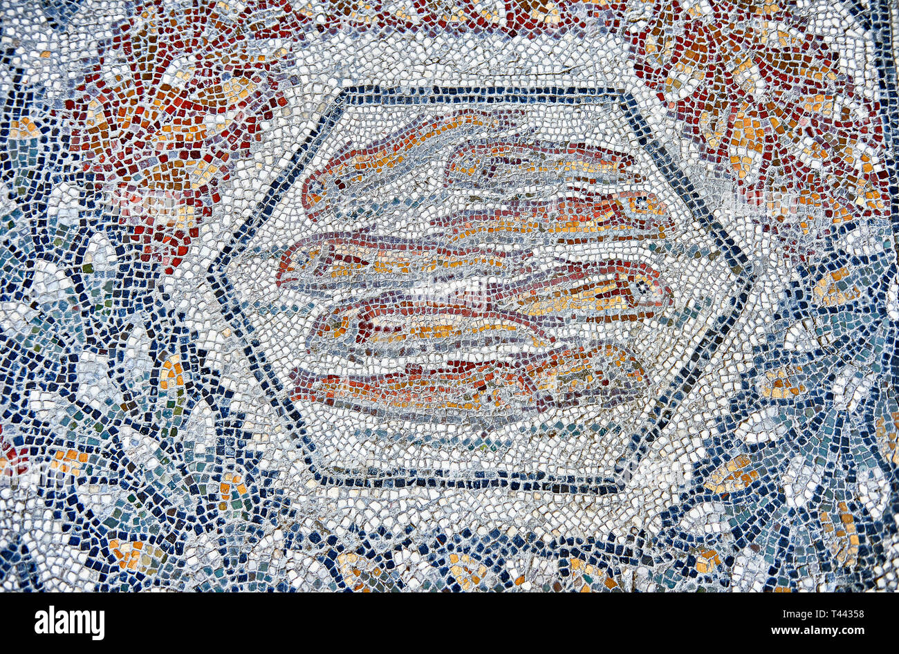 3e siècle mosaïque romaine de bord de poisson de Thugga, en Tunisie. Le Musée du Bardo, Tunis, Tunisie. Banque D'Images