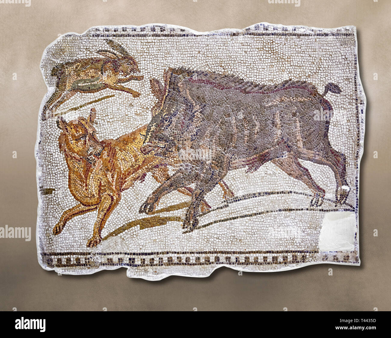 Première moitié du 3e siècle mosaïque romaine inscription un sanglier et lièvre chasse. D'Hadrumetum (Sousse), Tunisie. Le Musée du Bardo, Tunis, Tunis Banque D'Images