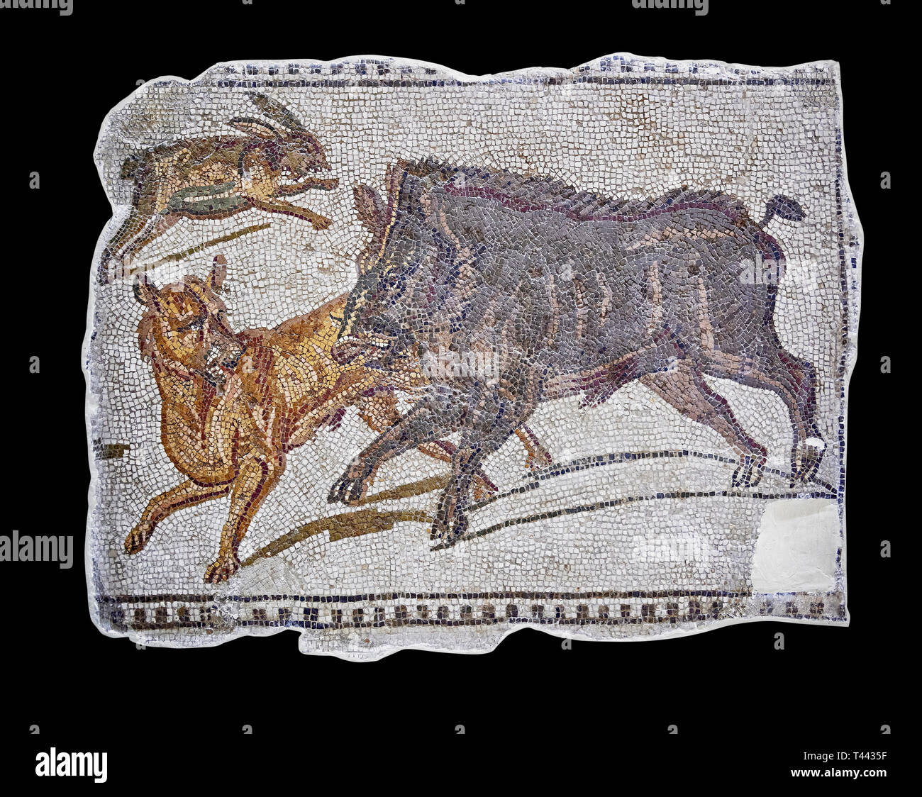 Première moitié du 3e siècle mosaïque romaine inscription un sanglier et lièvre chasse. D'Hadrumetum (Sousse), Tunisie. Le Musée du Bardo, Tunis, Tunis Banque D'Images