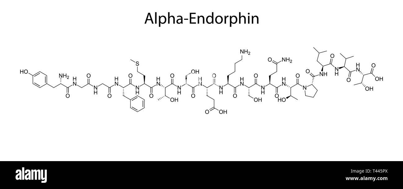 Formule topologique d'Alpha-Endorphin. molécule chimique. Illustration de Vecteur