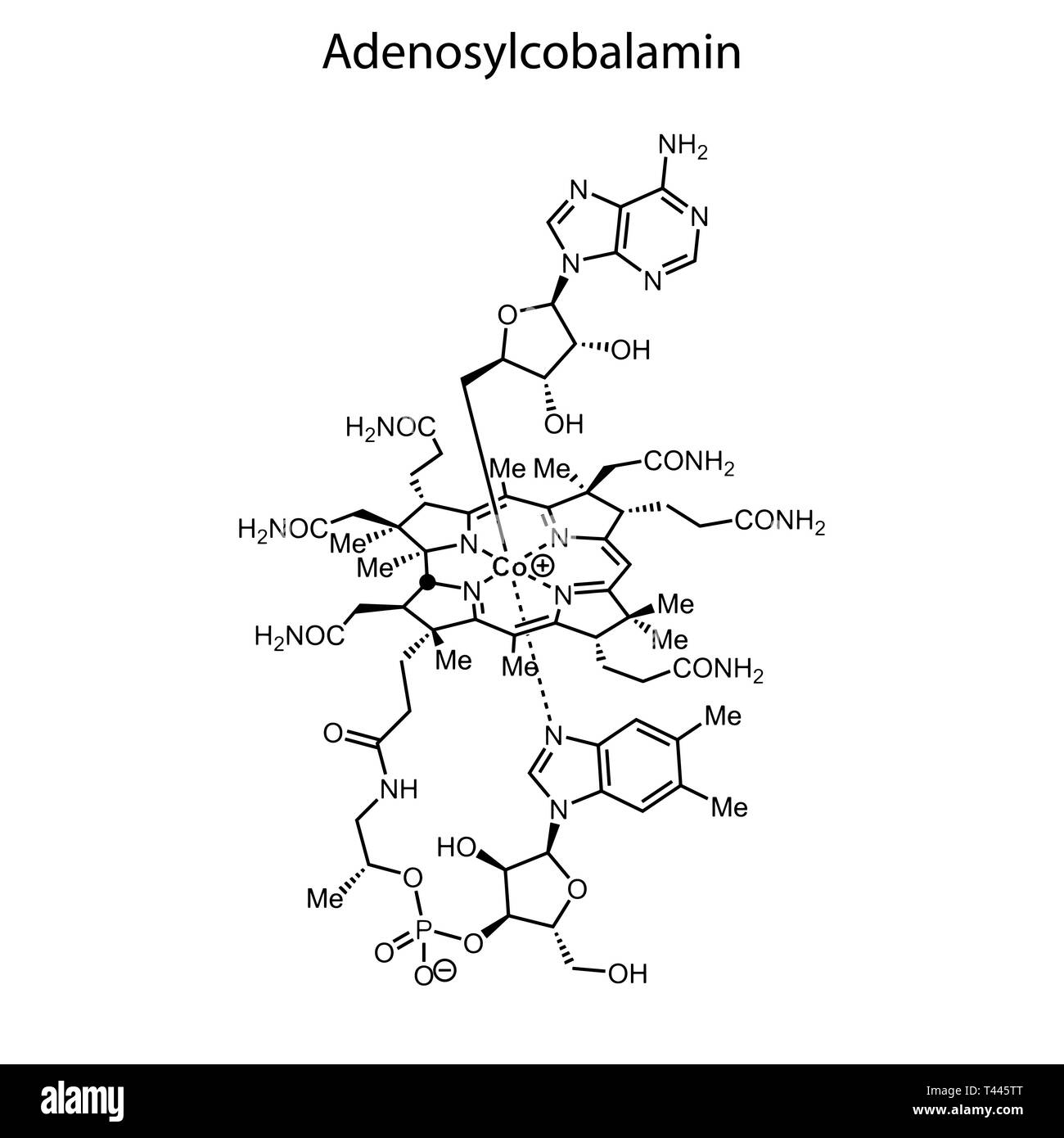 Formule topologique de Adenosylcobalamin. La vitamine B 12 molécule chimique. Illustration de Vecteur