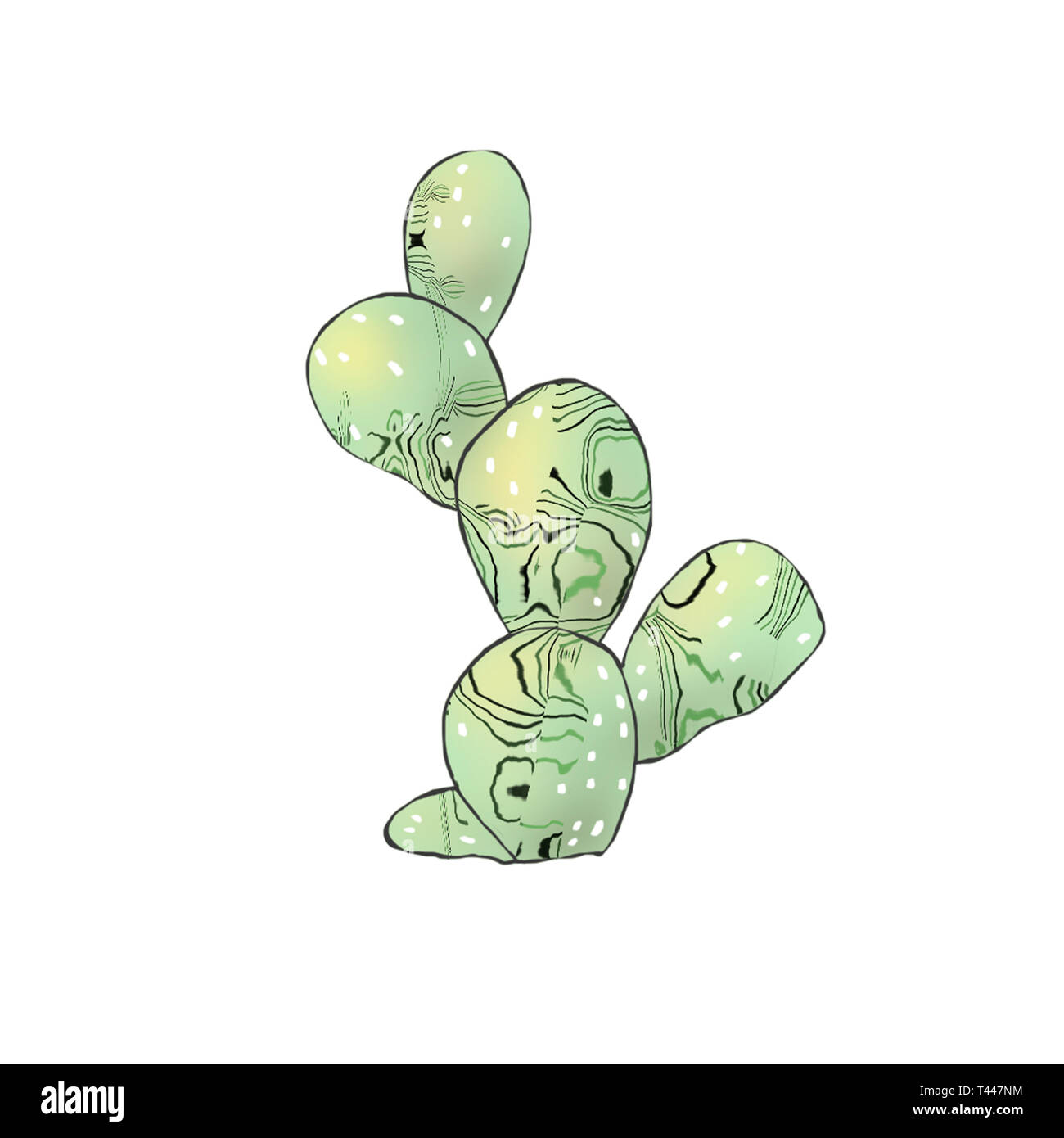 Cactus clip art dessin illustration numérique sur fond blanc Banque D'Images