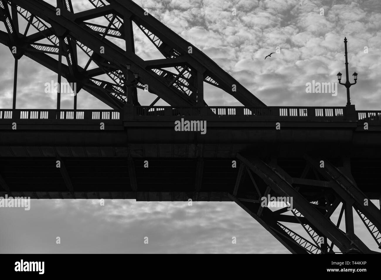 Silhouettes d'une section de Tyne Bridge et une mouette voler à Newcastle upon Tyne au Royaume-Uni Banque D'Images