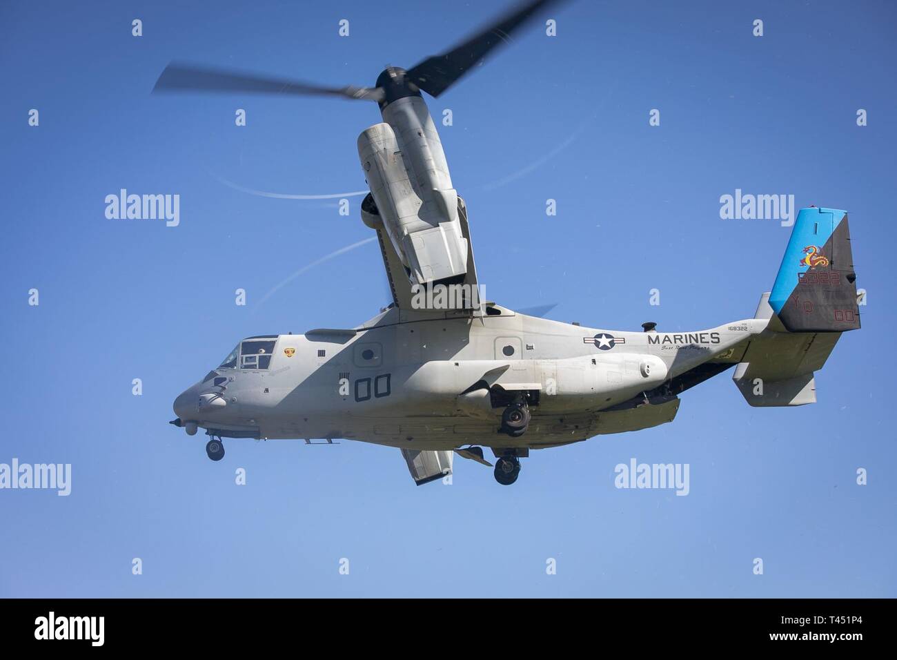 Une MV-22B hélicoptère à rotors basculants Osprey affectés à l'escadron 268 à rotors basculants moyen marin survole pendant un aéronef tombé scénario à la zone d'atterrissage 216 Base du Corps des Marines, Hawaii, le 27 février, 2019. Les Marines américains avec des armes Company, 2e Bataillon, 3e Régiment de Marines et VMM-268 avec le A-10 Thunderbolt attaque aéronefs affectés au 442e Escadre de chasse de Whiteman Air Force Base, Ohio conduite formation composé d'un recouvrement tactique simulé d'aéronefs et un scénario du personnel de recherche et sauvetage de combat scénario. Banque D'Images