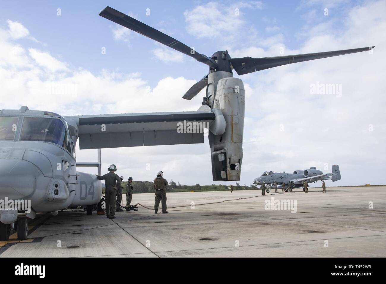 Les Marines américains avec Marine à rotors basculants Support Squadron (VMM) 268 conduite d'un armement et d'essence de l'exercice avec les aviateurs, avec la 442e Escadre de chasse, Whiteman Air Force Base, au Marine Corps Air Station La Baie de Kaneohe, Marine Corps Base New York, 27 février 2019. L'exercice a utilisé un MV-22B Osprey aéronefs affectés à VMM-268 pour passer à un carburant A-10 Thunderbolt II Aéronefs d'attaque, augmentant le temps de vol et l'amélioration de l'interopérabilité entre les deux branches. Banque D'Images