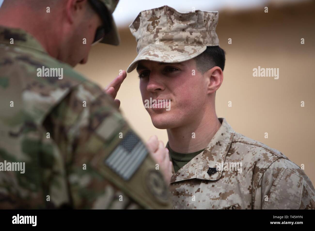 Le sergent du Corps des Marines des États-Unis. Colten Savage salue le Lieutenant-colonel Stephen Boucher avant de recevoir une médaille militaire au Centre de formation national, Fort Irwin, en Californie, 26 février 2019. Plusieurs Marines avec 5e Naval Air Company, Liaison III Marine Expeditionary Force Information Group ont été attribués par Thibodeau, le directeur général du 2e Bataillon, 8e Régiment d'artillerie, 1er Stryker Brigade Combat Team, pour leurs efforts au Centre National d'entraînement de rotation, 19-04. Savage, originaire de Chicago, Illinois, est un opérateur radio avec 1ère Brigade, 5ème ANGLICO. Banque D'Images