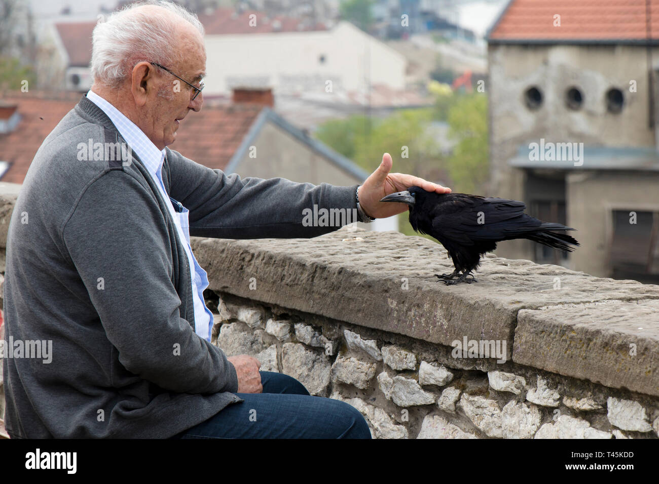 Belgrade, Serbie - Avril 9, 2019 : Lonely man assise seule sur un banc de la ville et de caresser un corbeau ou oiseau corbeau Banque D'Images