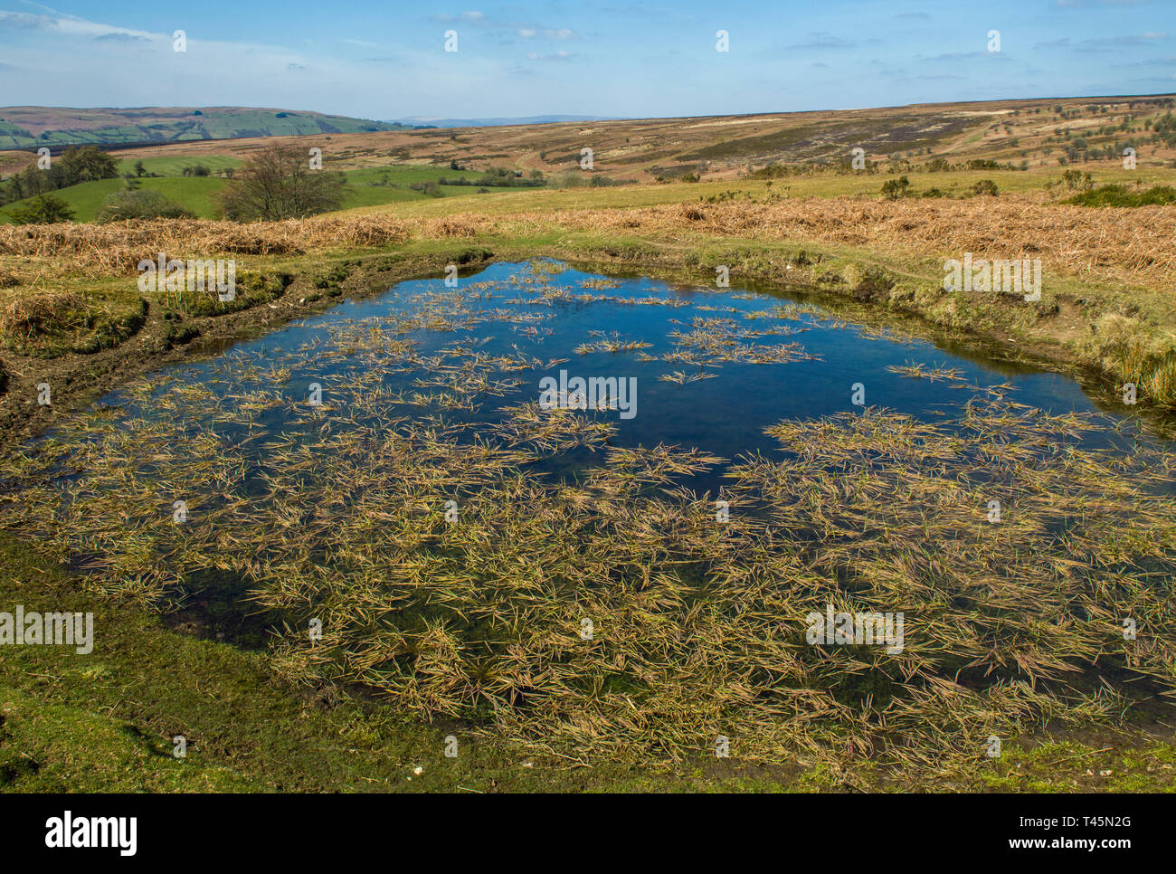 Les collines de Radnorshire au-dessus de la vallée de la Wye au Pays de Galles montrant un étang ou piscine avec les collines disparaissant dans la distance sur un jour de printemps ensoleillé Banque D'Images